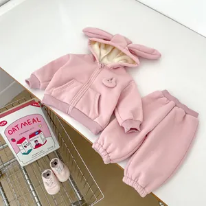 Detailed view of pink toddler winter hoodie set with cute 3D bunny ears and fleece lining