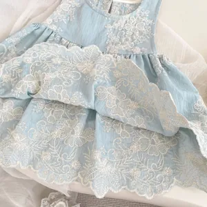 Ärmelloses hellblaues Baby Prinzessinnenkleid mit feiner weißer Blumenstickerei