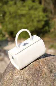 Macro shot of off-white leather box bag with a silver metal twist lock on a rock