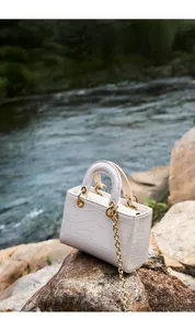 Détail du sac à main beige en cuir gaufré crocodile avec chaîne dorée sur rochers