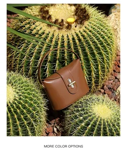Detailed shot of brown leather handbag with silver clasp and arc handle in desert setting