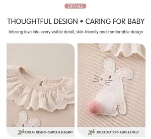 Detail of baby romper featuring lace collar and cute 3D bunny patch with plush tail