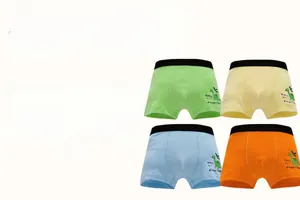 Pack of 4 pure cotton boys boxer briefs with colorful dinosaur prints in a gift box