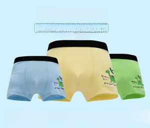 Detailed view of three cotton boxer briefs for boys featuring cute dinosaur patterns