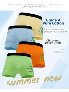 Detail of four-pack boys cotton boxer briefs featuring cute cartoon dinosaur prints