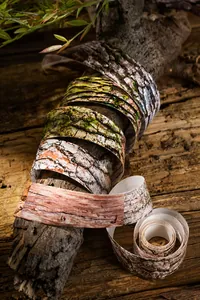 Detailopname van 2m decoratieve tape met realistische boomschors en natuurlijke houttextuur