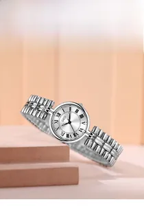 Detail of silver ladies watch with sunburst dial and classic Roman numerals