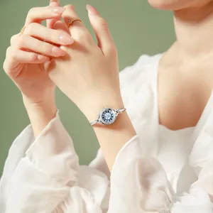 Montre bracelet élégante en argent pour femme avec cadran bleu clair et chiffres romains
