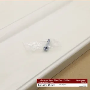 Detailed view of M4x25mm blue zinc plated pan head screw in transparent bag