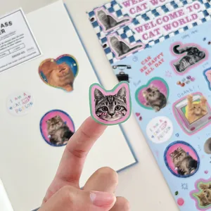 Y2K esthetische Amerikaanse vintage kattenfotostickers voor scrapbooking en koffers