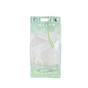 Green melon themed transparent PVC pouch with sweet hami melon print and snap button
