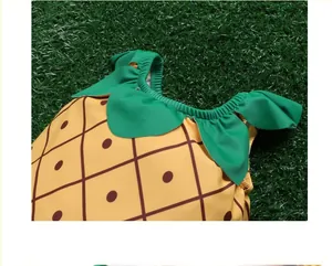 Gedetailleerd geel ananas baby badpak met groene ruffelkraag op een groen gazon achter