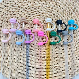 Colorful 10mm silicone straw covers and glass straws set for Stanley tumblers