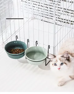 Hanging ceramic pet bowls in green mounted on a cage with a white cat nearby