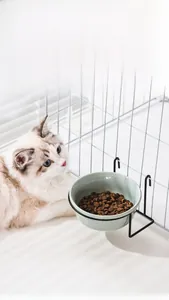 Hanging ceramic pet bowl with stable black metal bracket for cat crates and cages