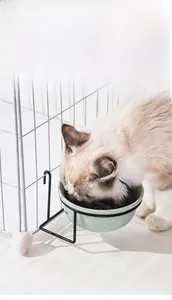 Detail of hanging green ceramic pet bowl with metal hook for cage to prevent black chin