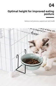 Hanging ceramic pet bowl for cats with black metal stand attached to cage for neck protection