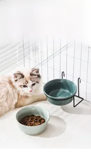 Detail of detachable ceramic pet bowls with black metal hanging bracket for cage mounting