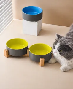Close-up of cat eating from a ceramic bowl with a stable wooden stand and curved base