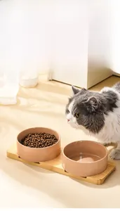 Detailed view of dual ceramic cat bowls with stable bamboo stand for healthy feeding