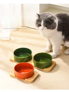Ceramic pet bowls with bamboo stands showing polished texture and elegant modern design