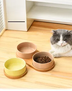 Detail of ceramic cat bowls in macaron colors on a non-slip bamboo wood tray set