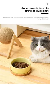 Ceramic cat bowl on wooden stand filled with food, designed to prevent feline acne