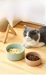 Close-up of detachable ceramic pet bowls for dry food and treats on light wood floor