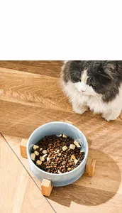 Detail of blue ceramic cat bowl with wooden stand and dry food on light wood floor
