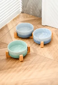 Ceramic pet bowl set with blue and green gradients and a wooden tripod base
