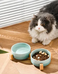 Elevated bamboo stand with ceramic pet bowls for cats and dogs with a minimalist design