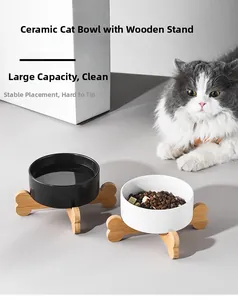 Ceramic cat bowl set with bone-shaped wooden stand for elevated and stable pet feeding
