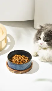 Ceramic cat bowl with deep blue starry glaze and natural wood base in a home setting