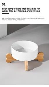 Close-up of minimalist white ceramic cat bowl with bone-shaped bamboo stand and high finish