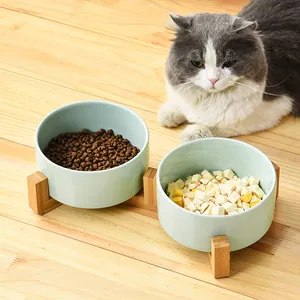 Dubbele keramische kattenbakset met houten standaard voor voer en water in lichtgroen