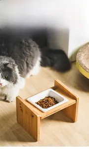 Detail of the raised wooden stand with a tilted ceramic bowl for cat neck protection