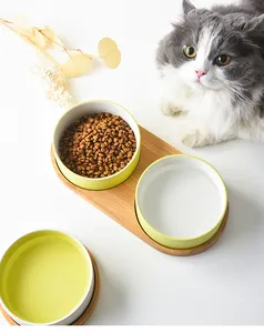 Dual ceramic cat bowls with wooden stand showing dry food and water in a home setting
