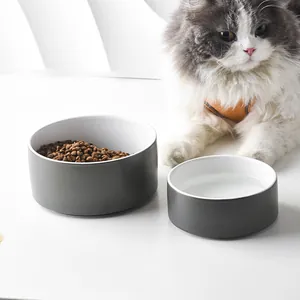 Detail of dual ceramic pet bowls on a white surface with food and water for pets
