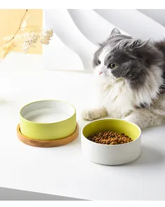 Dual ceramic pet bowls with a wooden stand for cats and small dogs in a home setting