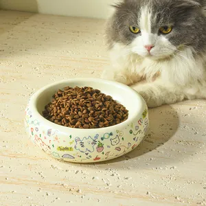Bol en céramique graffiti pour chat avec croquettes sur marbre et chat à poils longs