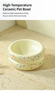 Detail of ceramic pet bowl with colorful cartoon cat patterns and spill-proof design