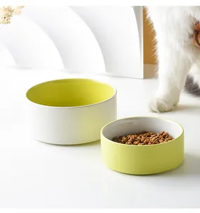 Detail of minimalist ceramic pet bowls with yellow interior and dry cat food texture