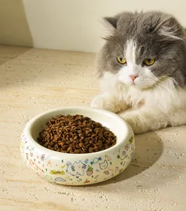 Ceramic cat bowl with cartoon graffiti prints showing a cat eating dry food