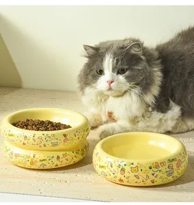 Gros plan d'un bol pour chat en céramique avec motifs graffiti et finition brillante