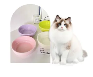 Set of four pastel ceramic pet bowls in pink, purple, yellow, and beige for cats