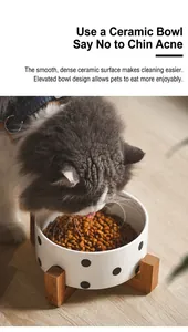 Cuenco cerámico para gatos con soporte de madera elevado para protección del cuello y aseo