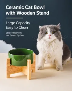 Grüne Keramikkatzenschale mit Holzständer und langhaariger Katze in häuslicher Umgebung