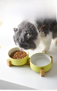 Close-up of fluffy cat eating from double ceramic bowls with minimalist wood stand