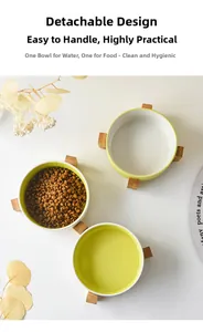 Close-up of dual ceramic pet bowls with a wooden base for dry and wet food separation