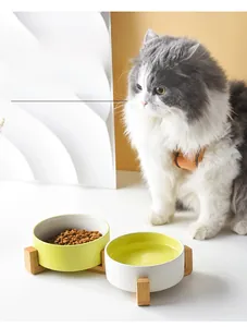 Close-up of double ceramic pet bowls on a bamboo stand with cat food and water